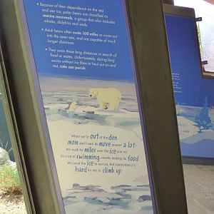 Polar Bear Exhibit - Piper's Den