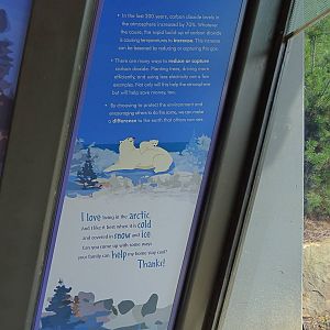 Polar Bear Exhibit - Piper's Den