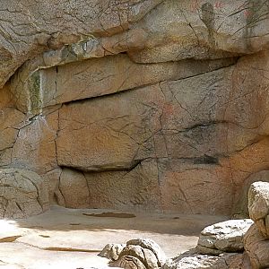 Training Door Closed - Polar Bear Exhibit