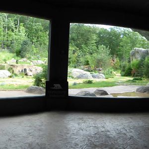 Polar Bear Exhibit - Panoramic View