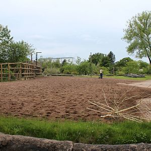 Giraffe paddock - 30 May 2015