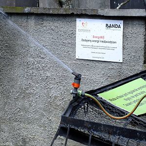 (one of) Water Spray to Keep the Polar Bears Cool