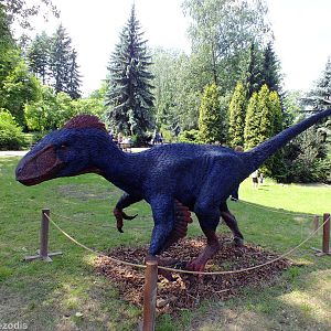 One of The Dinosaur Models