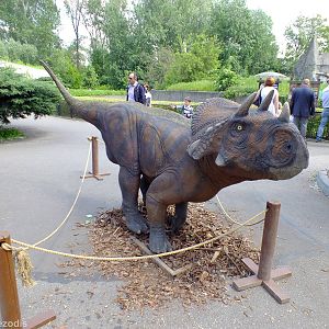 One of the Dinosaur Models