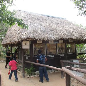 reptile area animaya