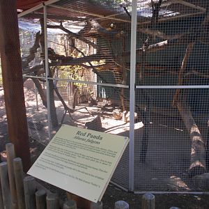Red panda exhibit