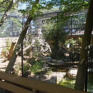 Malayan tiger exhibit