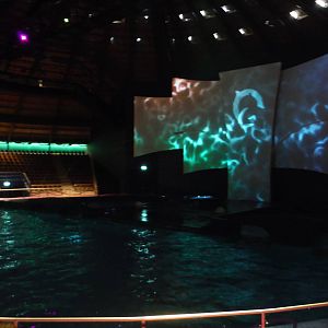 Dolfijndomijn (Dolphin Stadium)