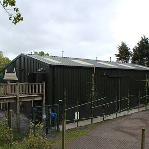 Giraffe house - 31 May 2015