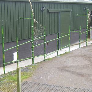 View of Giraffe House