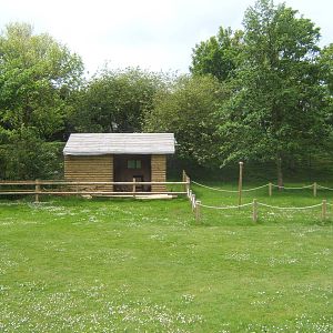 View of new Falconry display area