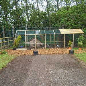 View of new chicken exhibit in Childrens farm