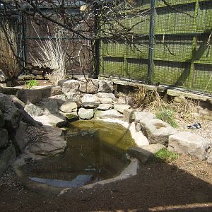 View of new mixed African Aviary