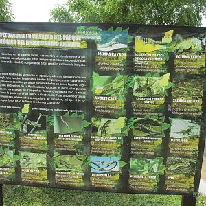 Sign Animaya free ranging herpetofauna