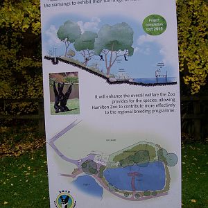 Sign for New Siamang Gibbon Exhibit