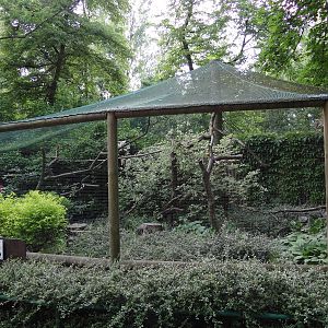 Black Hornbill aviary