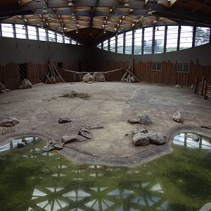 Inside elephant house