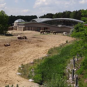 Elephant paddock and house