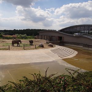 Elephant pool and paddock