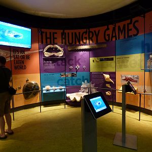 Graphics in Aquarium