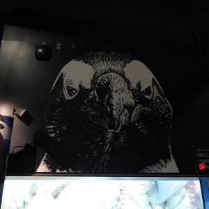 African Black Footed Penguin Graphic