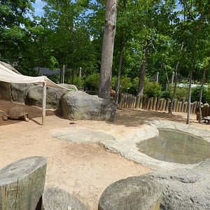 One End of Tortoise Exhibit