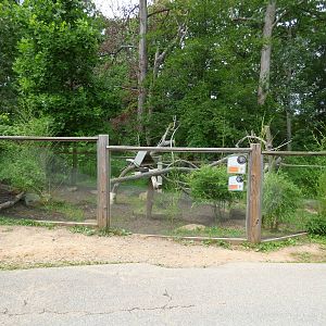 Agouti/Prehensile Tailed Porcupine Exhibit