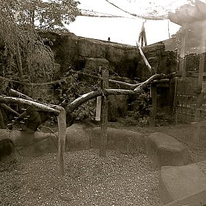 Red Panda Exhibit