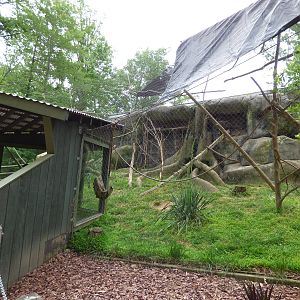 Lemur Exhibit