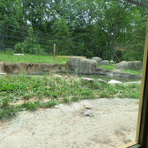 Tiger Exhibit