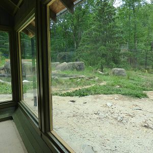 Tiger Exhibit