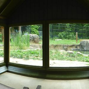 Tiger Exhibit