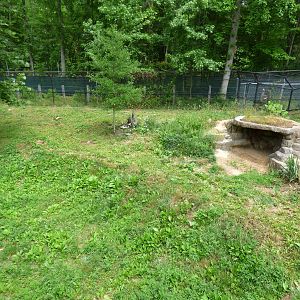 Manned Wolf/Giant Anteater Exhibit