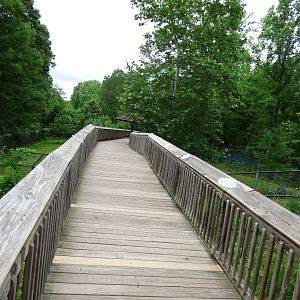 Boardwalk into Manned Wolf/Giant Anteater Exhibit