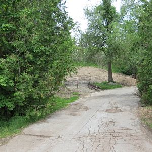 Old Snow Leopard exhibit