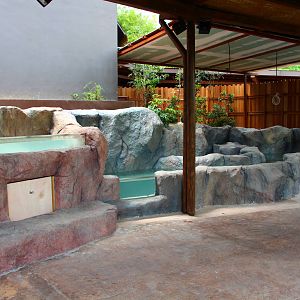 New Mangrove/Coastal Display (Under Construction)