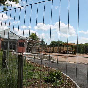 Wild Explorers construction