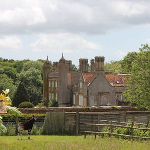Okapi in front of the Hall