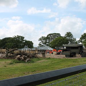 Wild Explorers construction