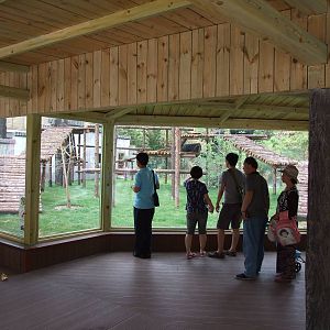 New red panda exhibit