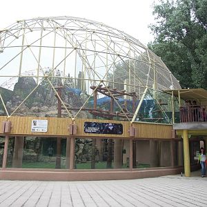 New snub-nosed monkey exhibit