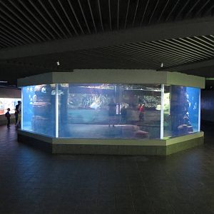 Aqurarium