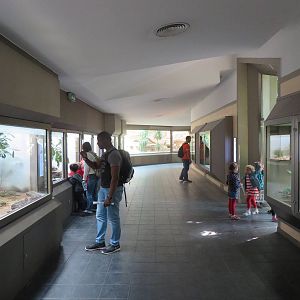 Overview terrarium section