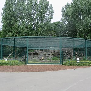 Japanese macaque enclosure