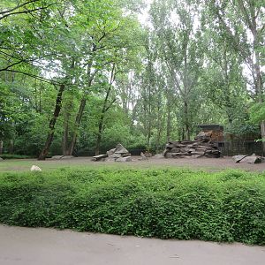 Golden takin enclosure