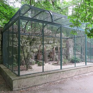 Patagonian concure aviary