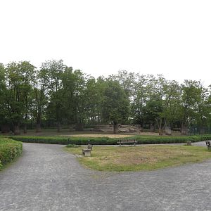 Mountain area - Sichuan takin