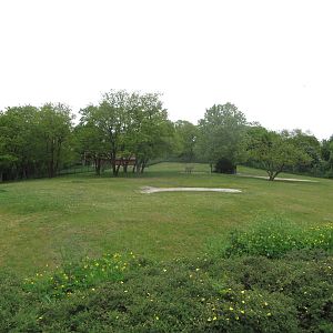Mountain area - European elk