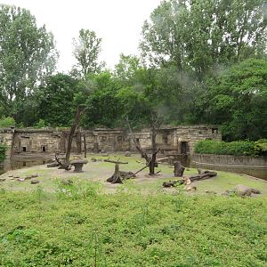 Barabary macaque enclosure