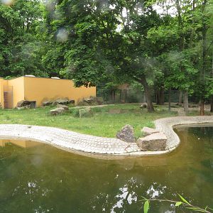 Hyena enclosure